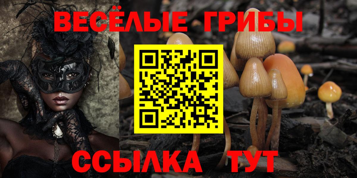 Псилоцибиновые грибы мицелий  Вход с VPN  купить  сайты  Дубна 