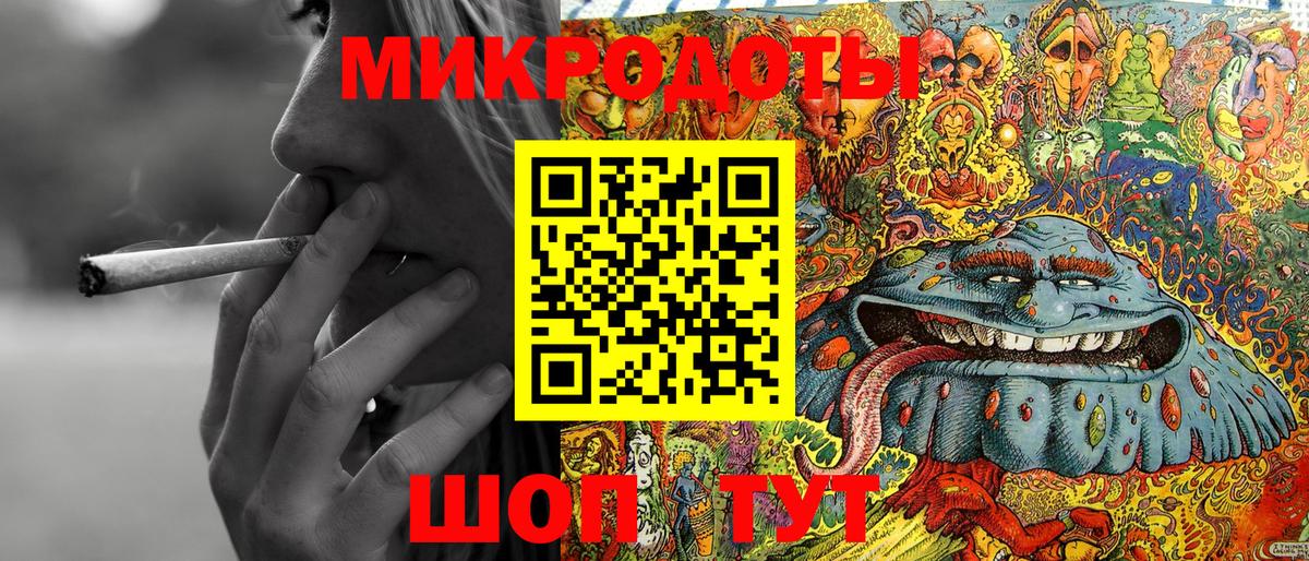 Псилоцибиновые грибы Psilocybe Дубна